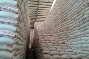 NegOcc to get 80,000 bags of NFA rice by June